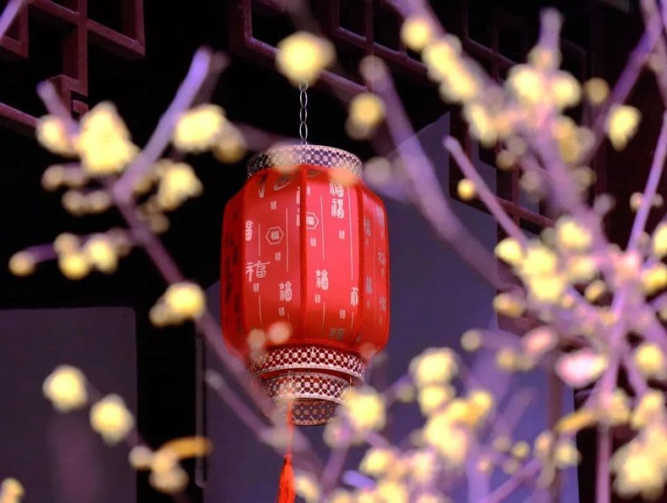 过大年·来青浦丨暗香疏影，红墙黄花，江南“蜡”么“梅”！灵得嘞！