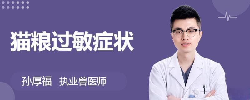 猫粮过敏怎么办？症状、原因及应对方法全解析