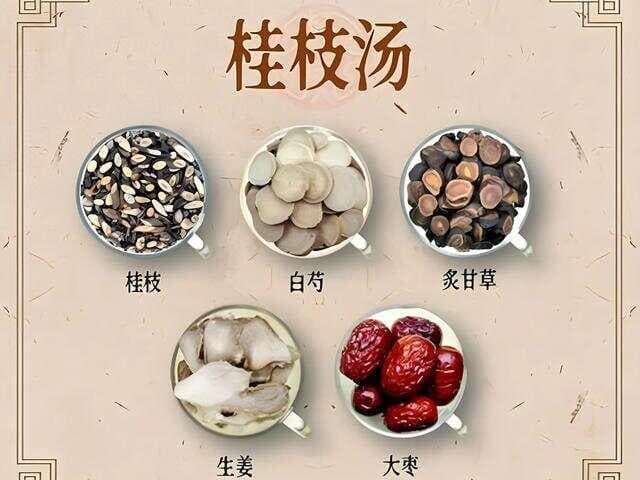 桂枝汤：千年古方在现代医学中的新生