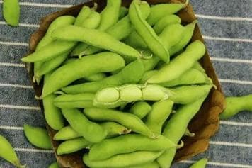 毛豆的营养价值及功效