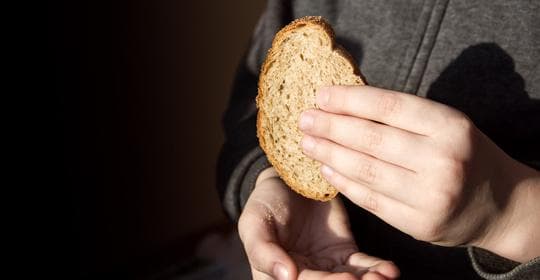守护每一口安全：孩子饮食照顾与急救知识全攻略