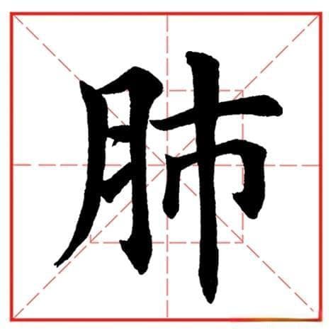 小学生必学：“肺”字正确书写指南