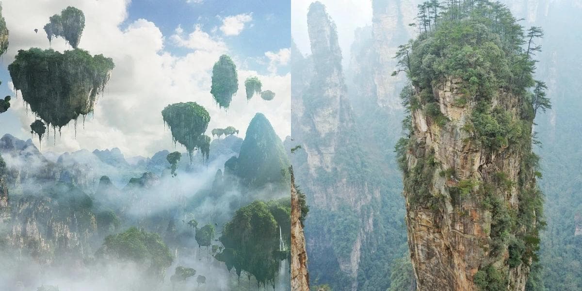 阿凡达-哈利路亚山(乾坤柱)旅游指南