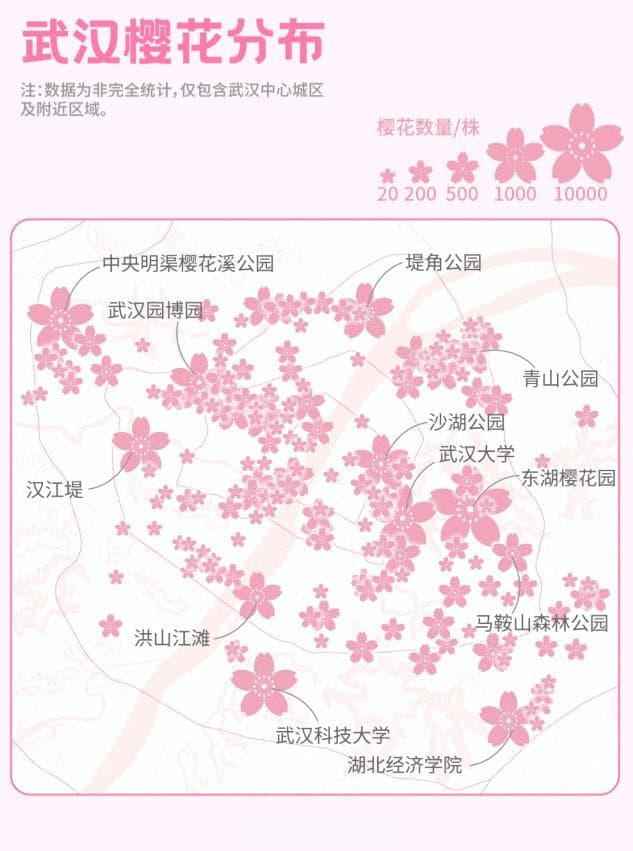 来武汉看樱花，哪天最美？最新权威预报来了！
