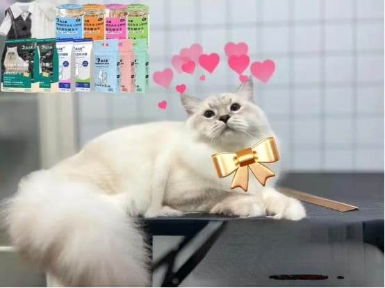 猫咪下巴黑黑的，尝试一下这几个方法~
