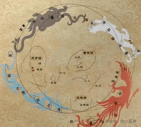 针灸四不传之秘的探索与实践