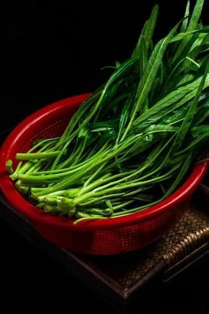 空心菜为何被称之为“抽筋菜”？到底还能不能吃？爱吃的朋友该看看
