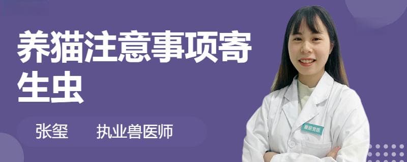 养猫必读：寄生虫感染的症状、检查与预防