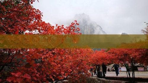 海南七日游全攻略：八大热门景点与详细行程安排