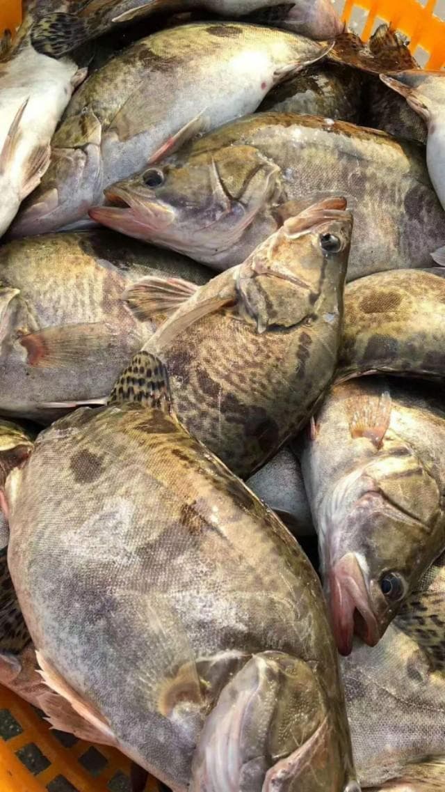 臭鳜鱼腌制方法和步骤（徽州名菜臭鳜鱼）
