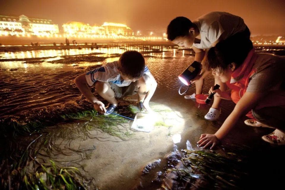 为何盛夏总让人想起小时候？