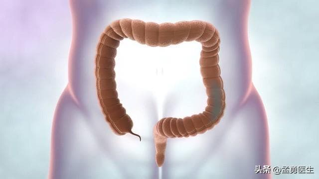 肠道健康新发现：如何用食物打败炎症