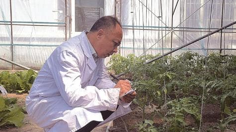 王宝柱：研发新型肥料 为问题土壤开"药方"