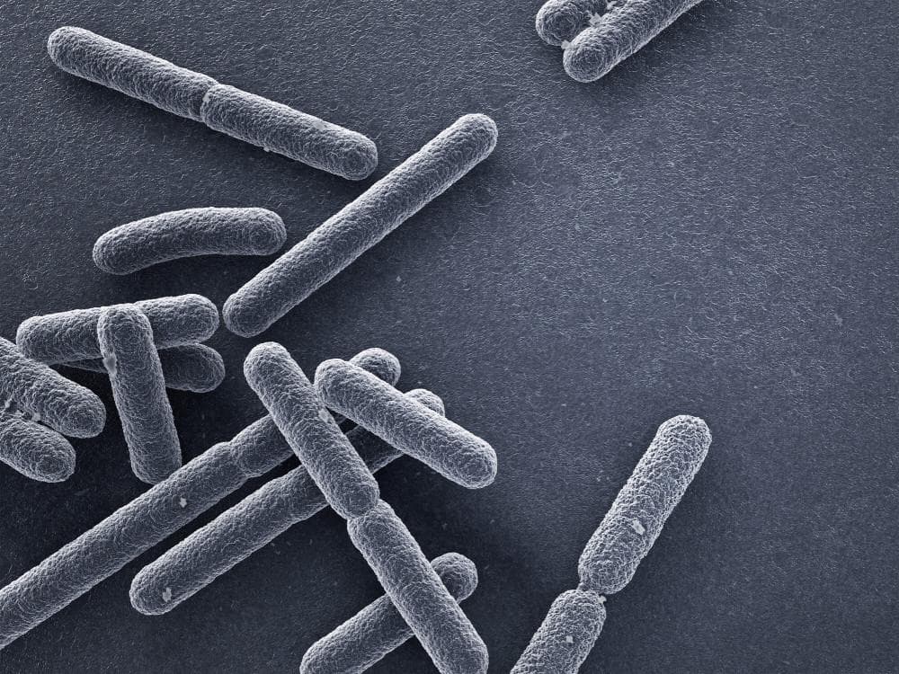 美国麦当劳大肠杆菌感染致49人中招！做好5点预防病从口入