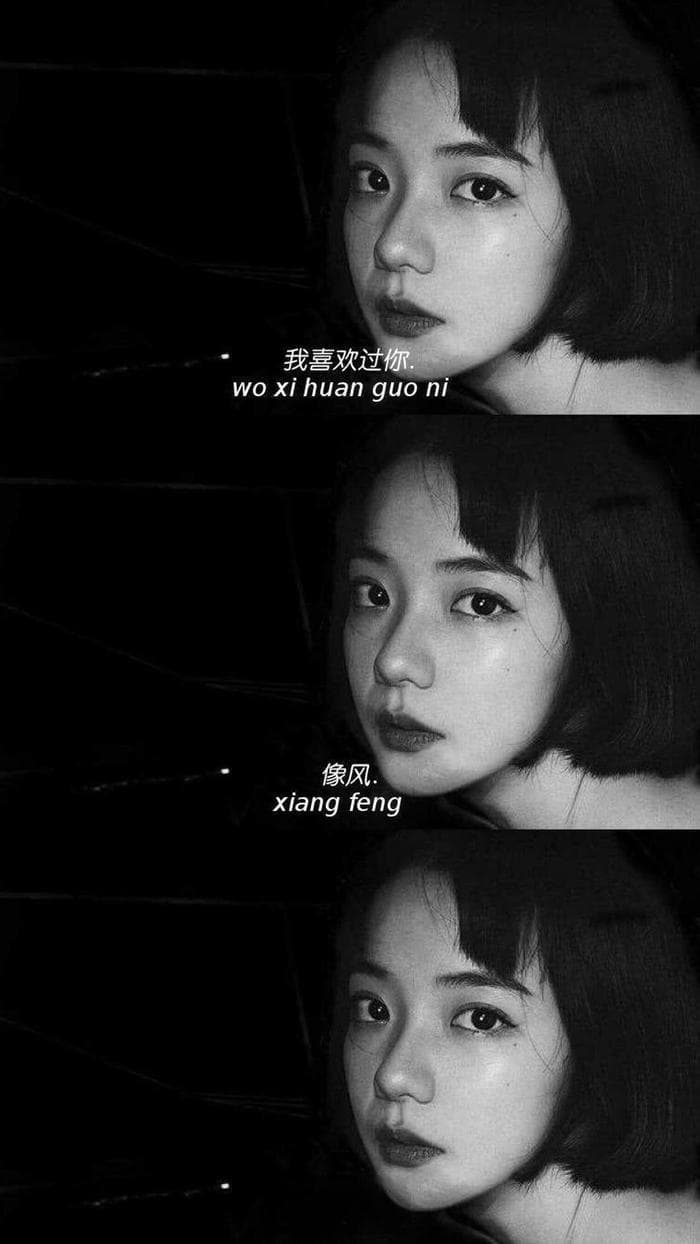 新鲜感是感情的日常，不是感情的添加剂