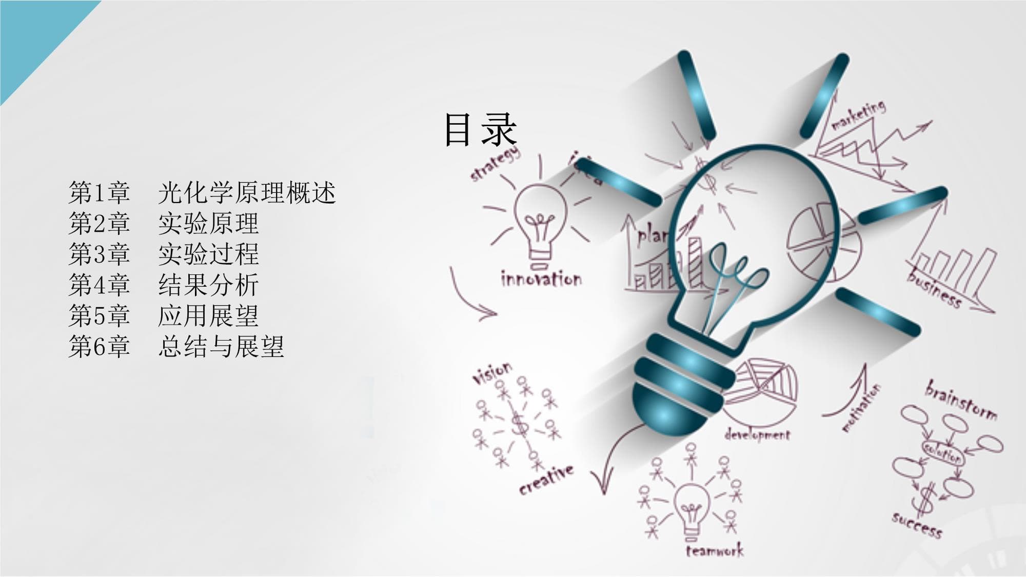 光化学原理实验-叶绿素的吸光度测定