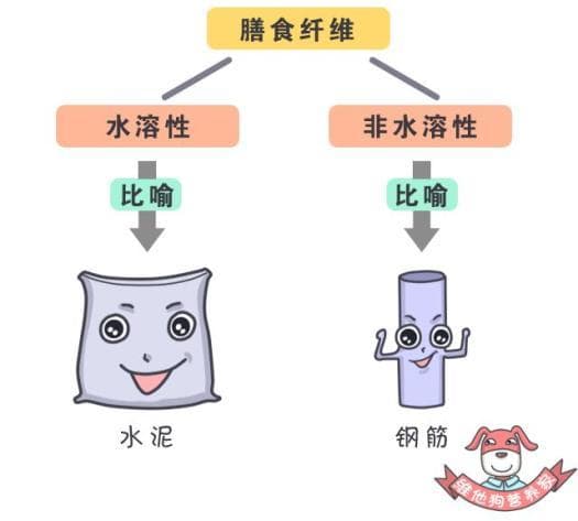 吃膳食纤维仅仅是为了减肥吗？你太低估它的威力了