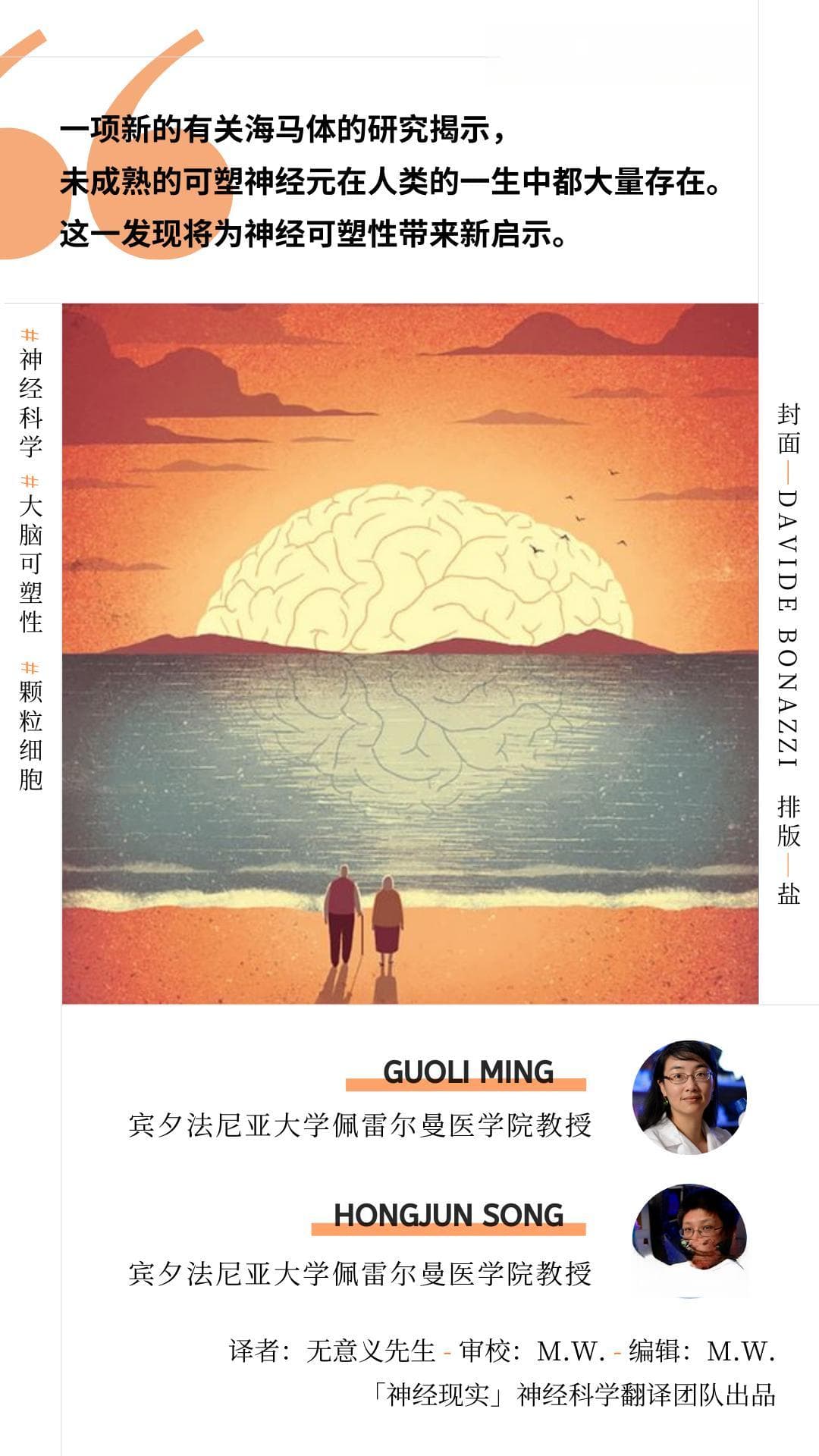 未成熟神经元，治疗大脑疾病的新可能