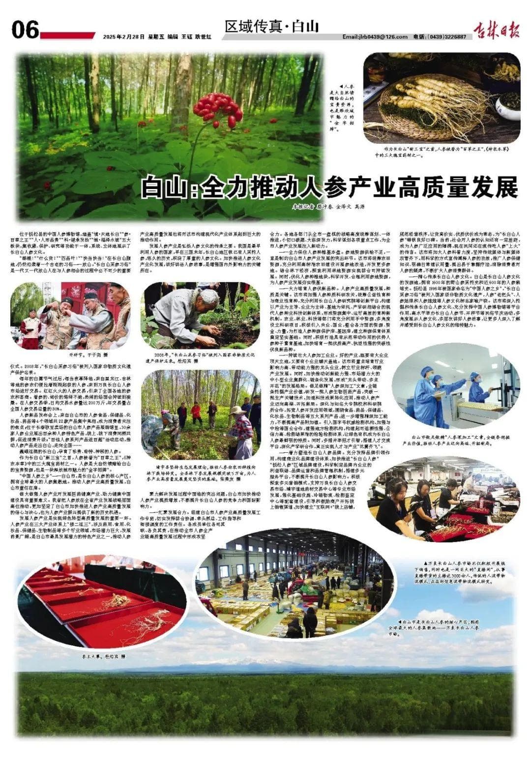 吉林白山：打造人参产业高质量发展新高地