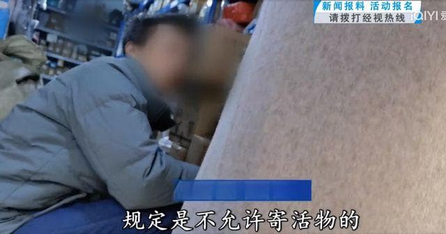 “成堆的动物尸体”！屡禁不止！快递点又现这种快递