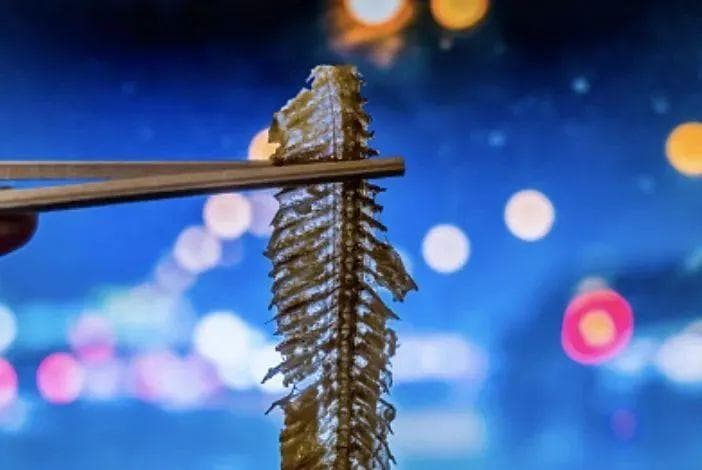 小鱼刺大危害丨专家提醒，“鱼刺误咽卡喉”切勿擅自处理！
