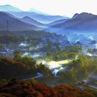 为什么你买的鱼会有腥味？