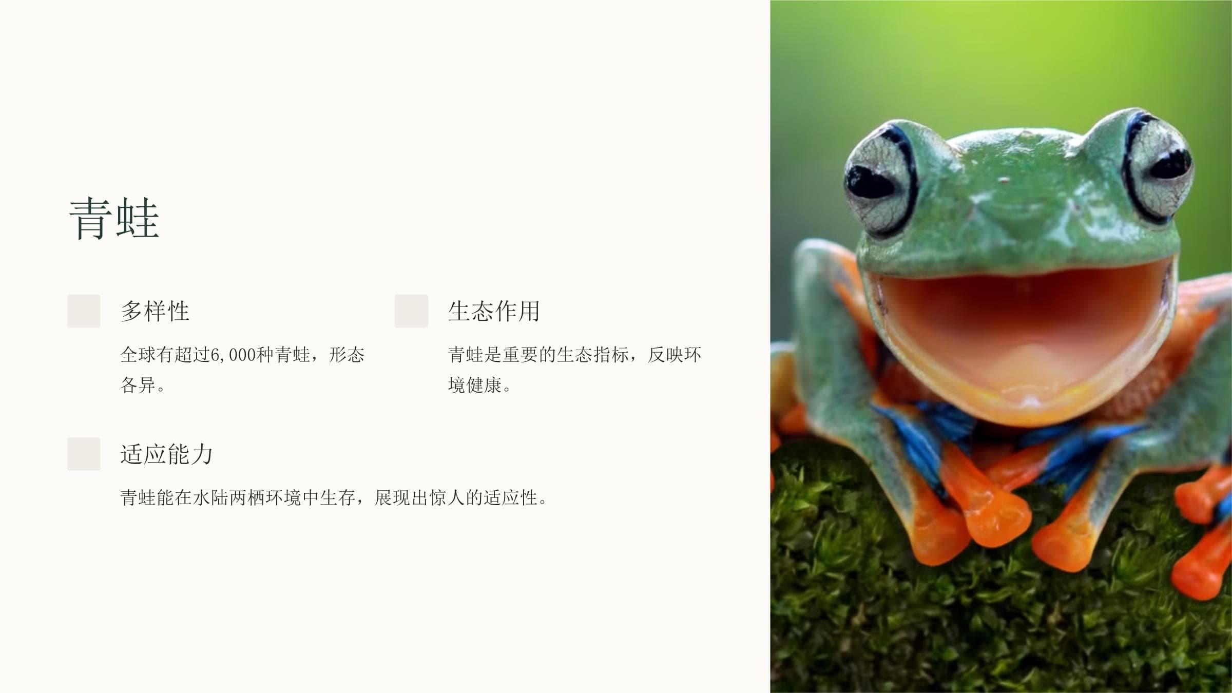 两栖动物和爬行动物：从特征到保护