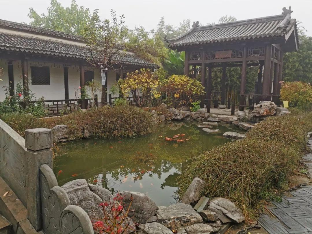 冬游走起！快来解锁冬日淄博的多样玩法