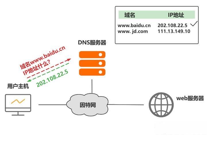 如何正确设置DNS以优化网络连接的稳定性和速度？