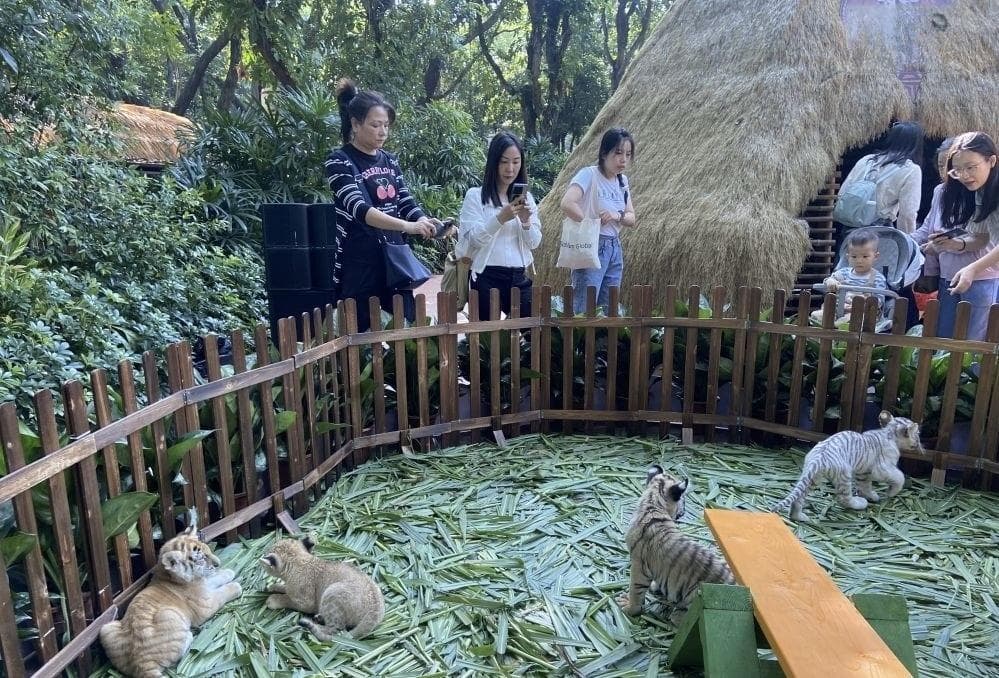 番禺多家景区涵盖其中！广东推出20条主题旅游精品路线