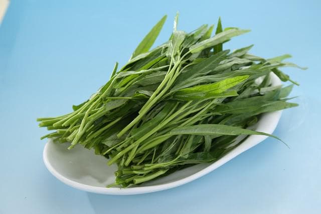 夏天，这菜正当季，一护眼，二强免疫，三清热解毒，遇见使劲吃！