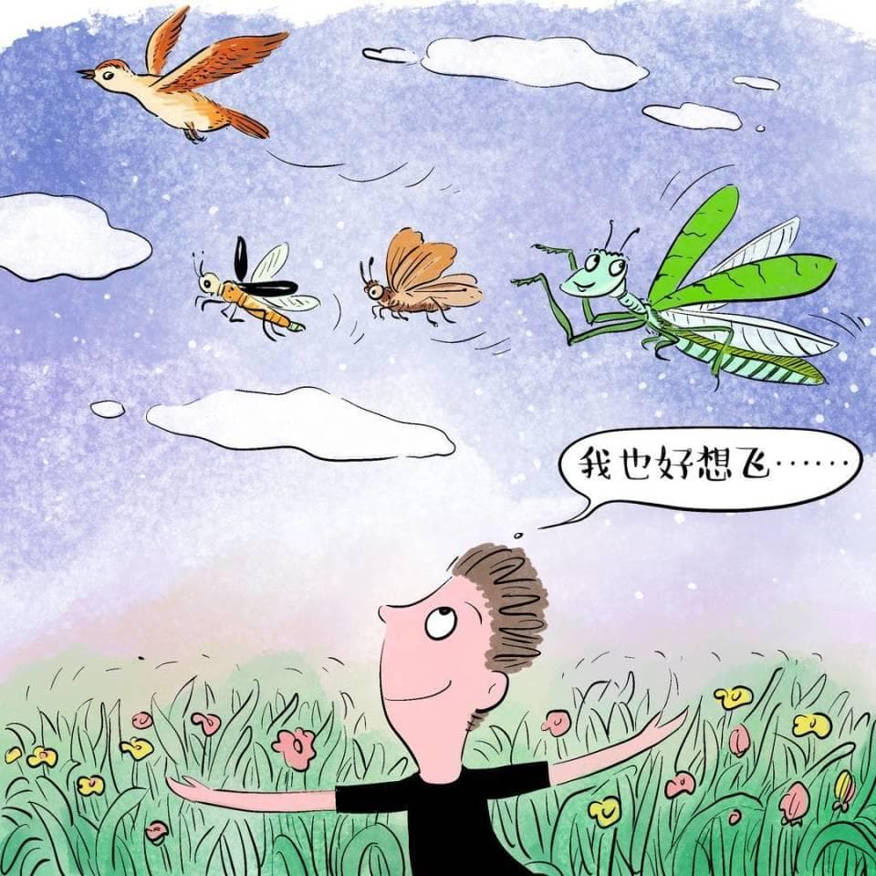 动物的飞行是如何演化出来的 | 知识窗