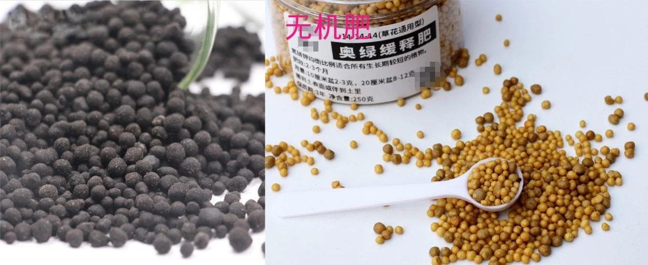 养花用控释肥还是缓释肥？植物花卉施肥全指南