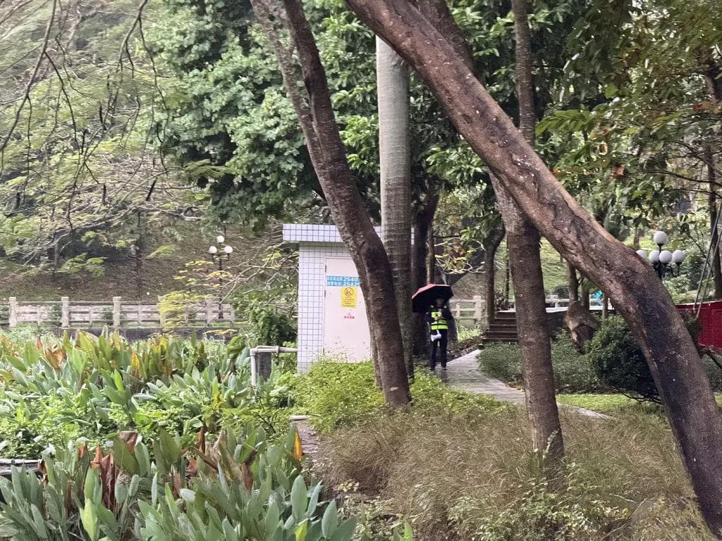 深圳东湖公园：违规垂钓遭严管，两处设施隐患待处理