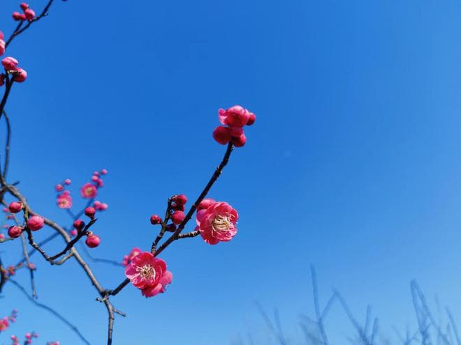 为啥从低谷爬出来的人越来越厉害？