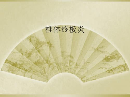 终板炎：定义、分型、诊断与治疗全解析