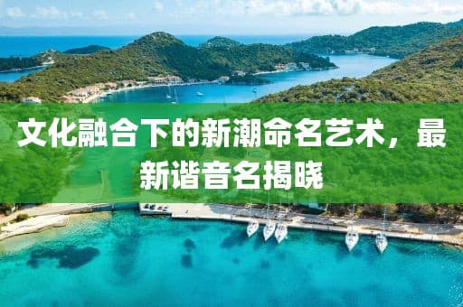 文化融合下的新潮命名艺术，最新谐音名揭晓