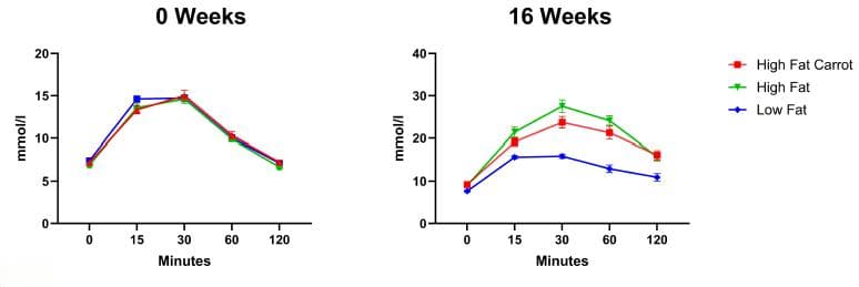 最新研究：胡萝卜或可改善糖尿病患者血糖调节