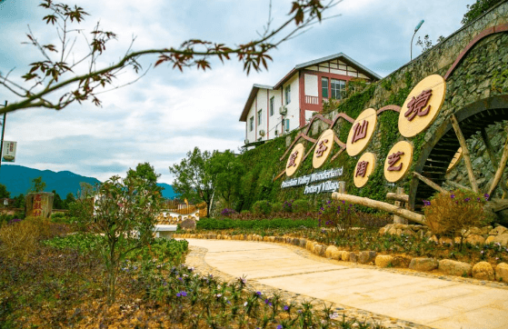 福建德化：瓷韵流芳，铸就产业与文化新辉煌