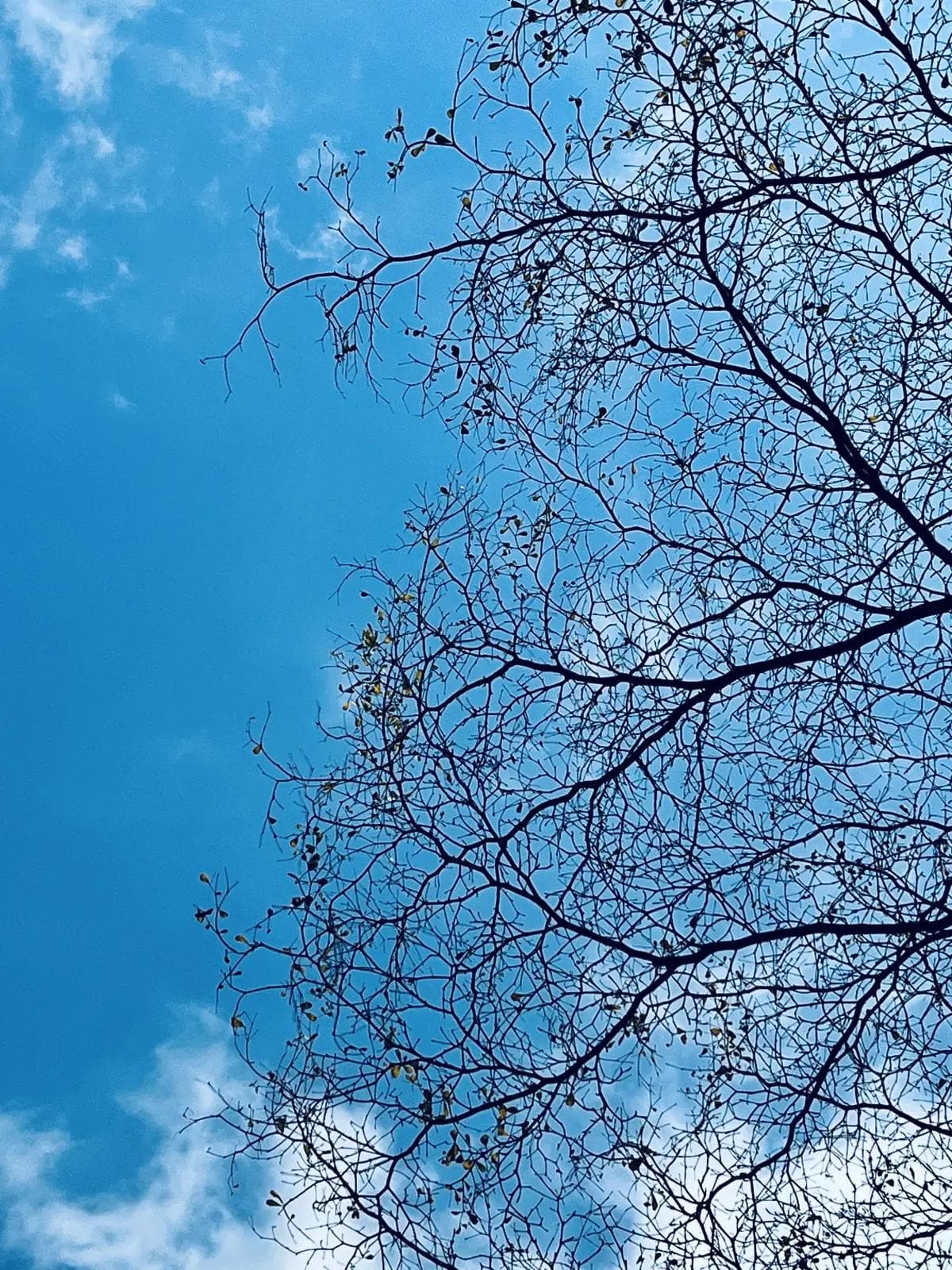 负面思维过重，怎么办？