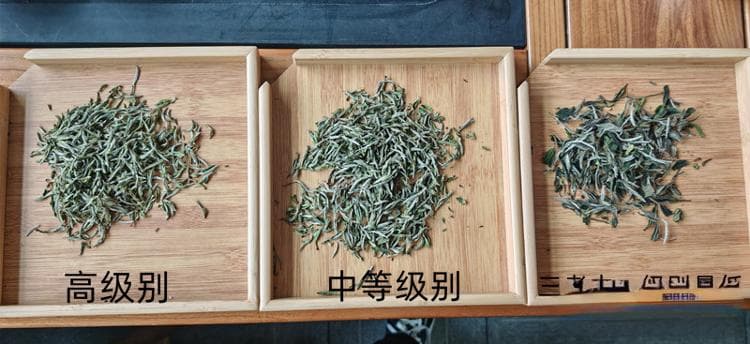 3·15调查丨茶叶直播间里的"冒牌货"