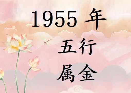 1955年五行属什么？1955年出生是什么命？