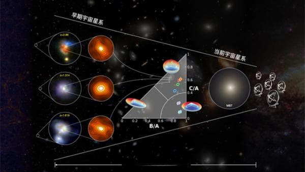 研究发现遥远星暴星系原位核球形成机制