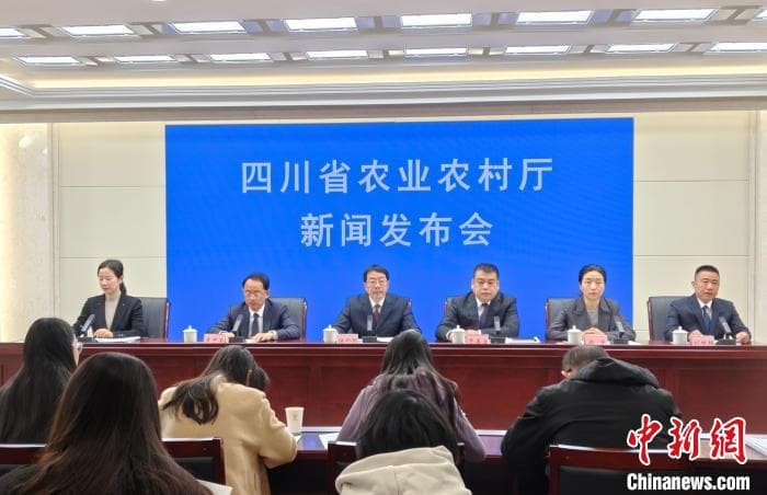 四川深化“天府粮仓·百县千片”建设 推动2025年粮食单产再增3公斤