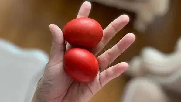 客家红鸡蛋，到底有何寓意？