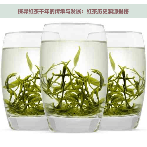探寻红茶千年的传承与发展：红茶历史渊源揭秘