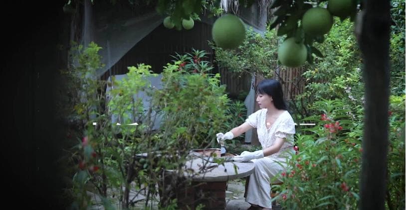 春晚节目单爆了！李子柒首登总台春晚，李谷一缺席《难忘今宵》