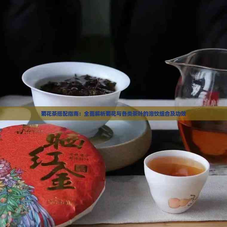 菊花茶搭配指南：全面解析菊花与各类茶叶的泡饮组合及功效