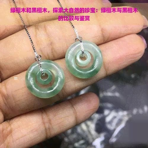 绿檀木和黑檀木，探索大自然的珍宝：绿檀木与黑檀木的比较与鉴赏
