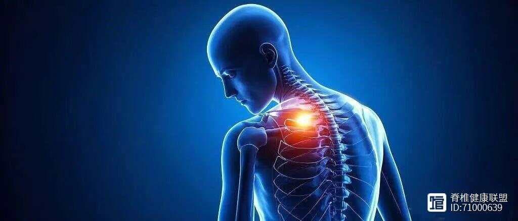 肩胛骨缝疼痛：被忽视的"隐形杀手"与体态的无声博弈